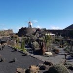 Single Urlaub auf die Kanarischen-Inseln Lanzarote & Fuerteventura!