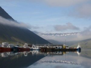 Naturschauspiel Hafen bei Ihrem Single Urlaub in Island