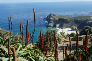 Ausblick an der Garden Route