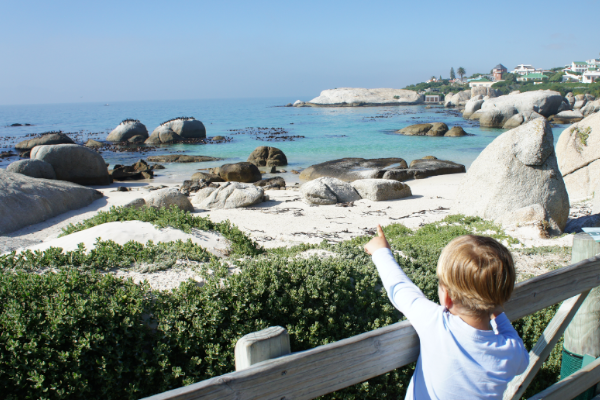 Mit der Familie nach Südafrika Reisen - Erfahrungsbericht