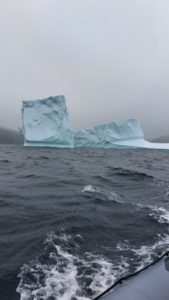 Neufundland_Iceberg