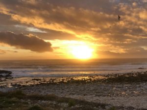 Walking the camino portugues coastal route