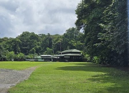 Ein unvergesslicher Tag im Corcovado Nationalpark – Mit Osa Great Adventure unterwegs in der Wildnis der Osa-Halbinsel in Costa Rica
